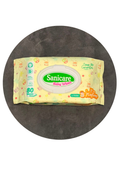 BGTK Sanicare Wipes 80's