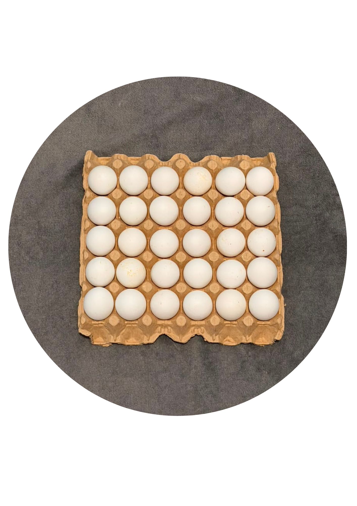 BGTK Egg Tray Jumbo 30pcs