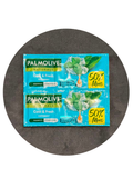 BGTK Palmolive Shampoo Cool&Fresh 6pcs