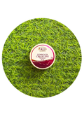 ZBP SCD Sunblock Cream 10g